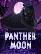 มาเฟีย 88 ฟรี เครดิต ลองสนุกได้เต็มที่